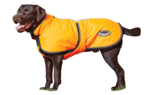 Dog Raincoat